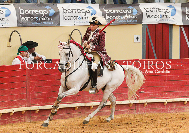 Cavalos e Toiros Evora (9 de 19)