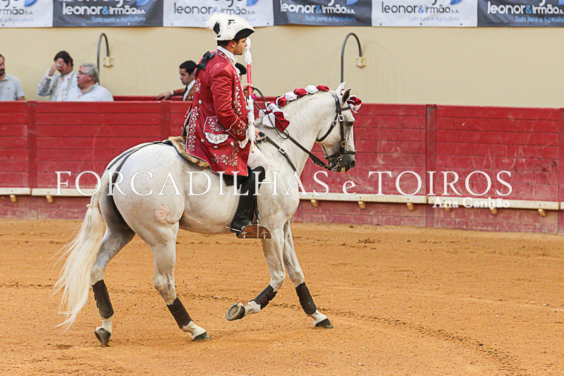 Cavalos e Toiros Evora (12 de 19)