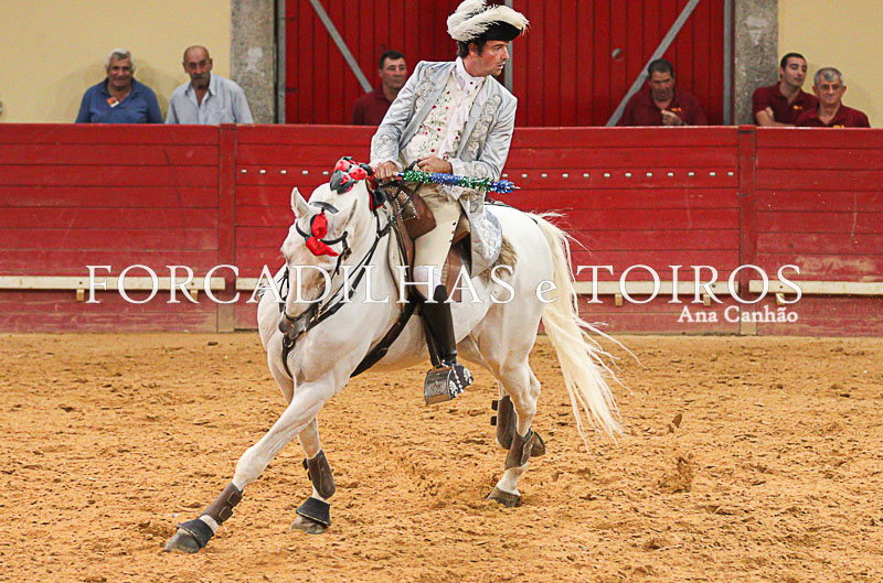 Cavalos e Toiros Evora (16 de 19)