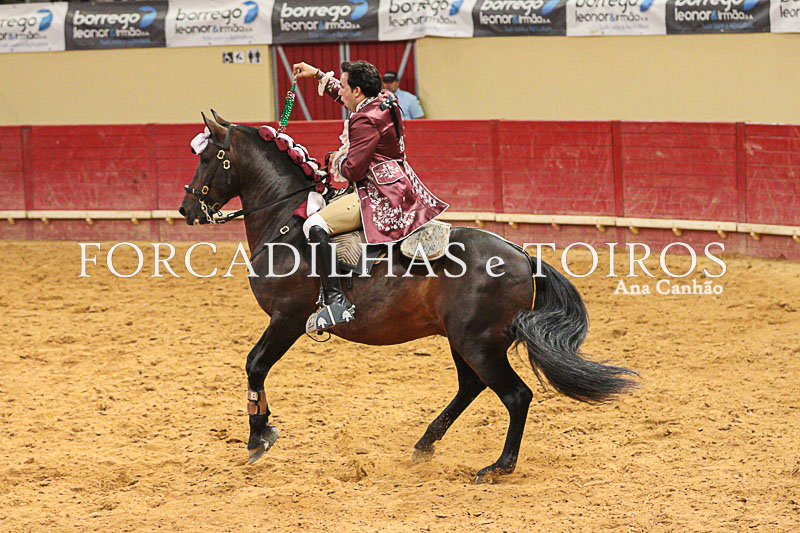 Cavalos e Toiros Evora (19 de 19)