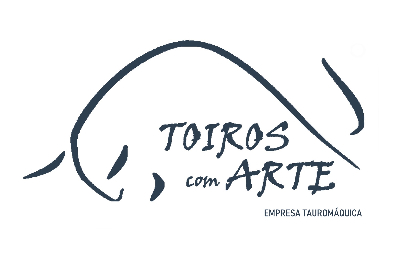 TOIROS COM ARTE